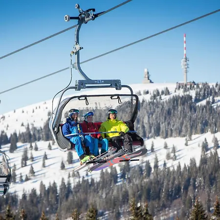 Apartamento Schwarzwaldstern 2, Todtnau, 4 Schlafzimmer *