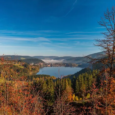 Schwarzwaldstern 2, Todtnau, 4 Schlafzimmer Todtnau