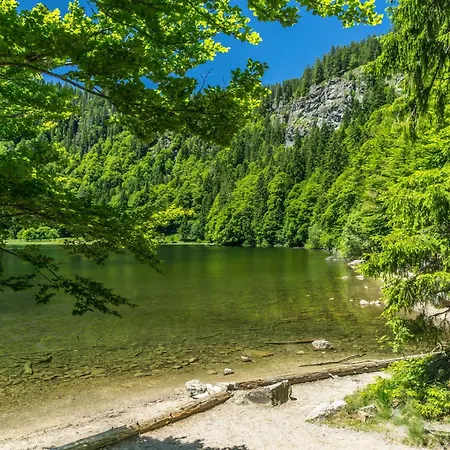 Schwarzwaldstern 2, Todtnau, 4 Schlafzimmer *